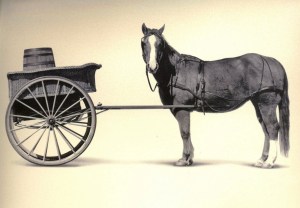 cart_before_the_horse1-1024x711